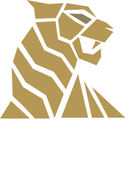 logo tigerspin